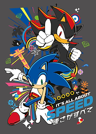 Sonic and Shadow: All About Speed