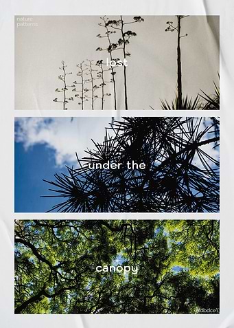 Nature patterns with text overlays