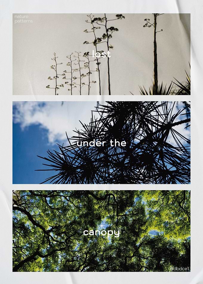 Nature patterns with text overlays