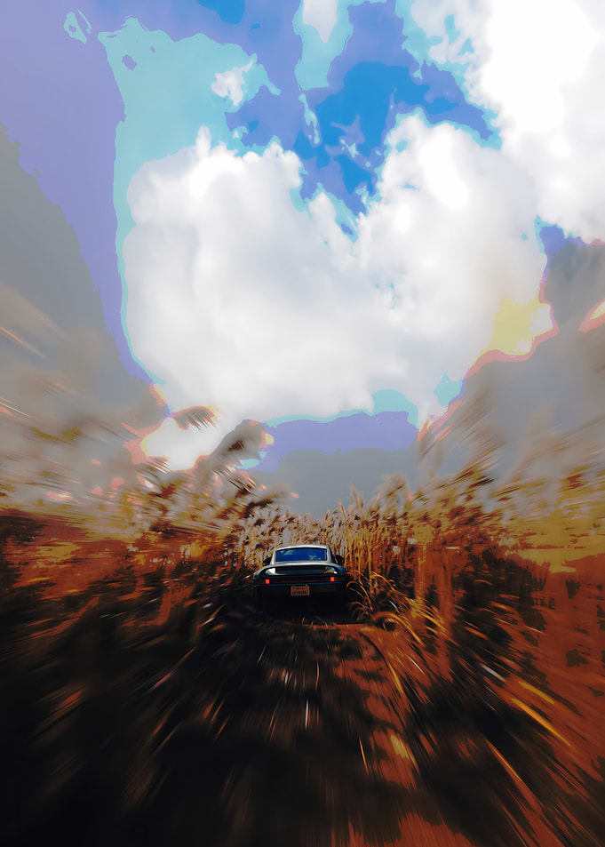 Car driving through tall grass