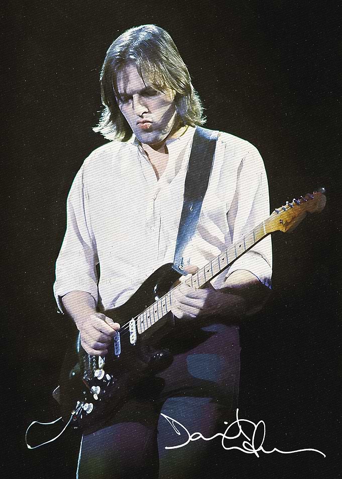 David Gilmour Playing Guitar
