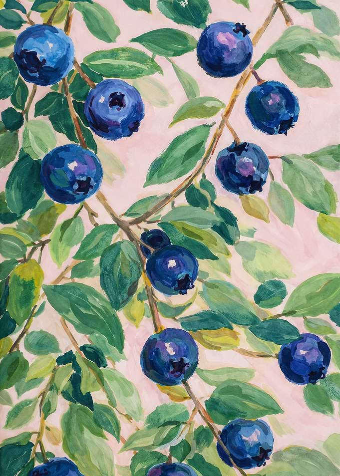 Blueberries Botanical Fruit Painting