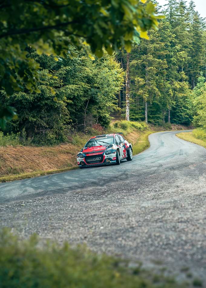 Rally Car on a Forest Road