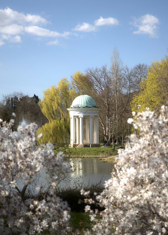 Classical Temple by a Lake with Blossoms