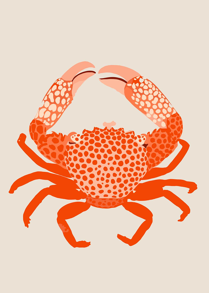 Orange Crab Illustration