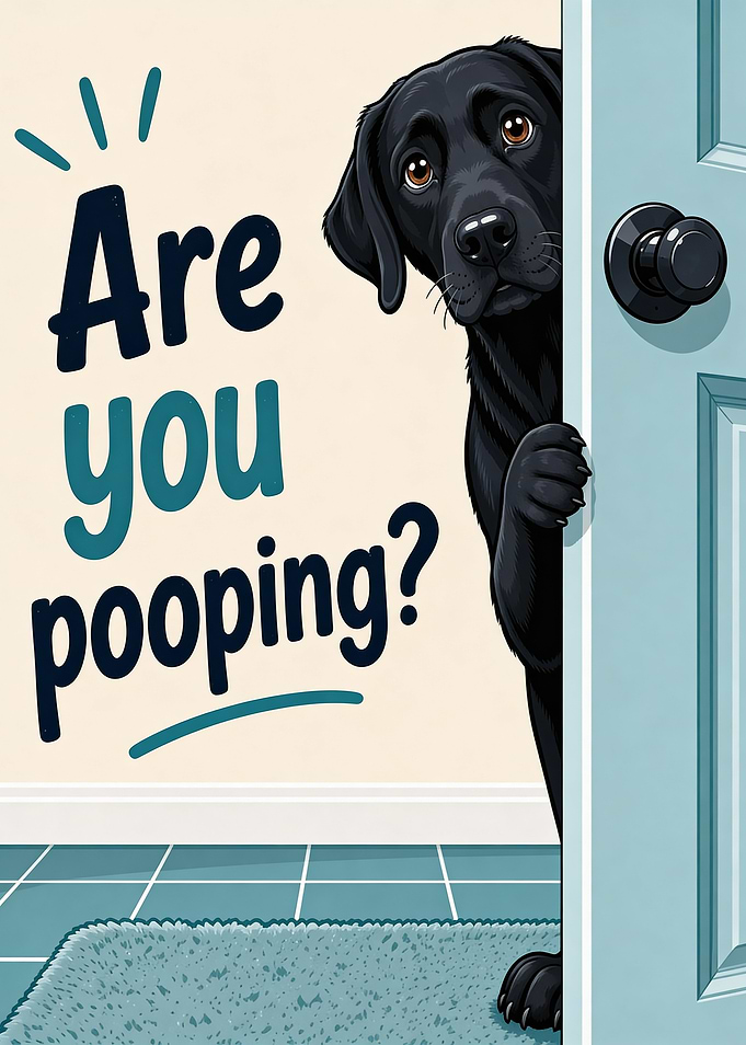 Black dog peeking around a door