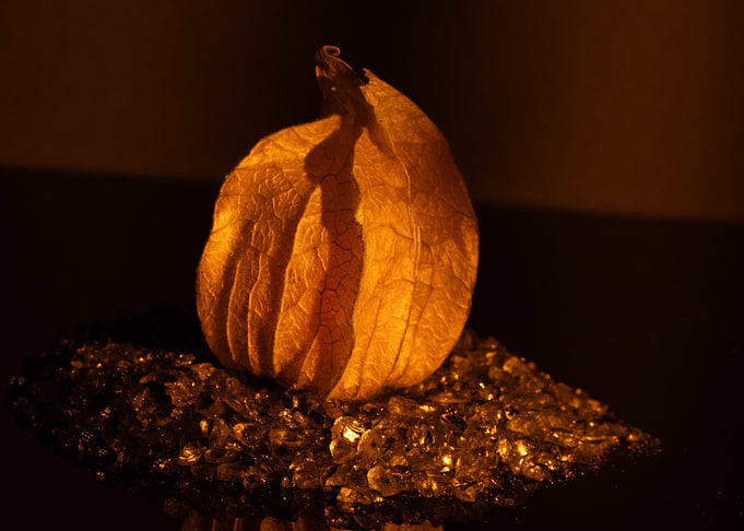 Physalis fruit on glass shards