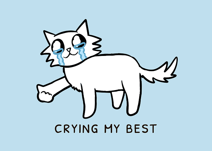 Crying My Best Cat