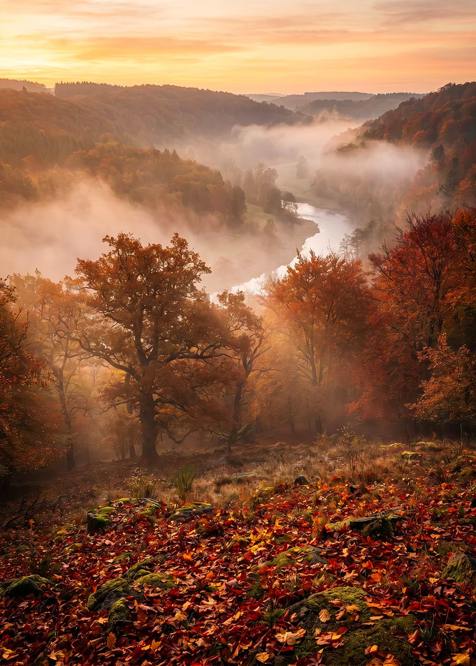 Misty Autumn Forest River Sunrise