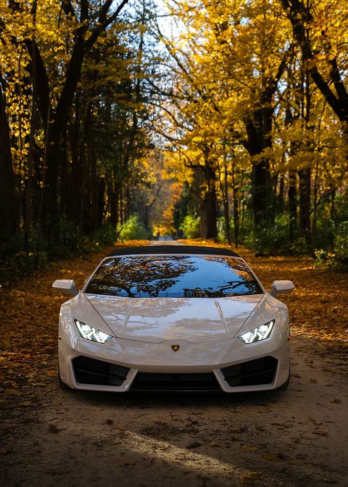 White Lamborghini Convertible in Autumn Forest