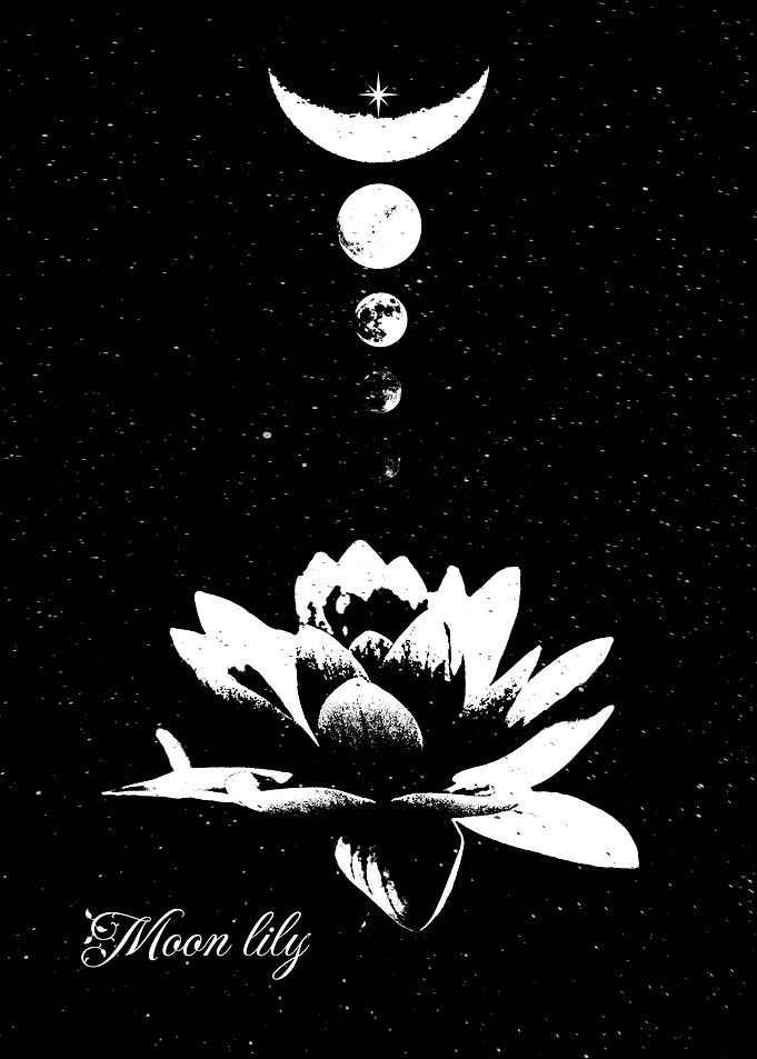 Moon Lily (Celestial Art)