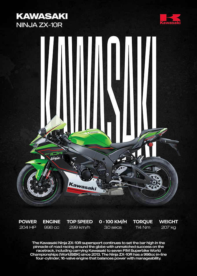 Kawasaki Ninja ZX-10R Motorcycle