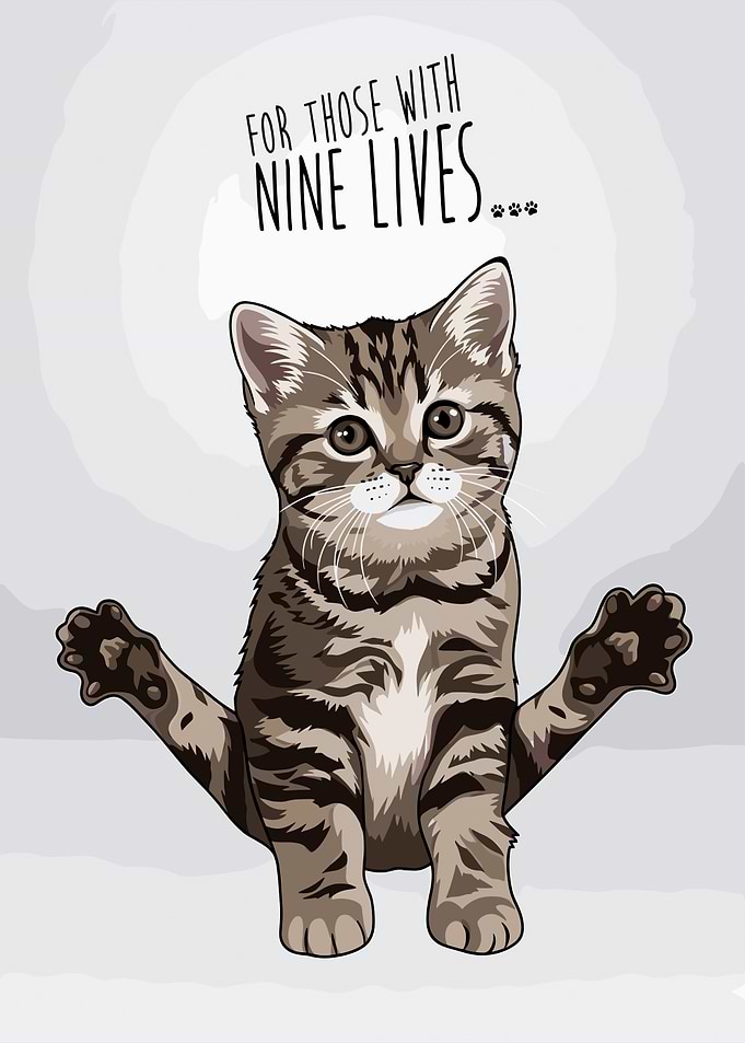 Cute Kitten with Nine Lives Text