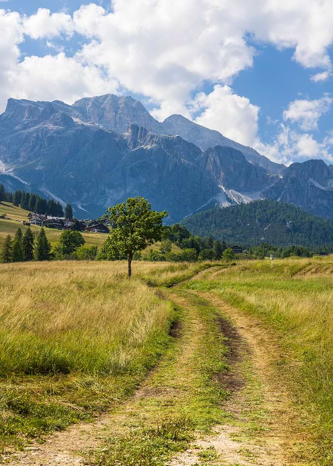 Mountain Landscape with Winding Path