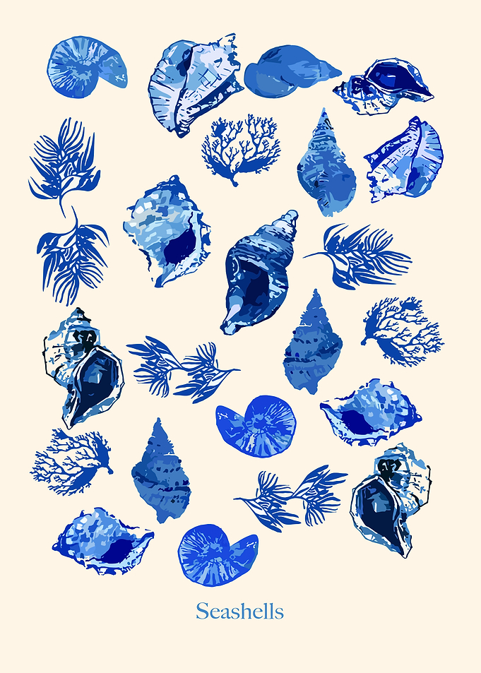 Blue Seashells and Coral Illustration