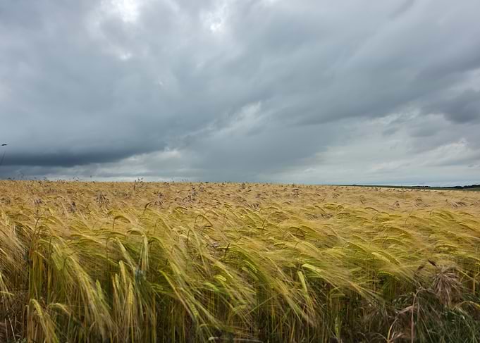 Before the Storm