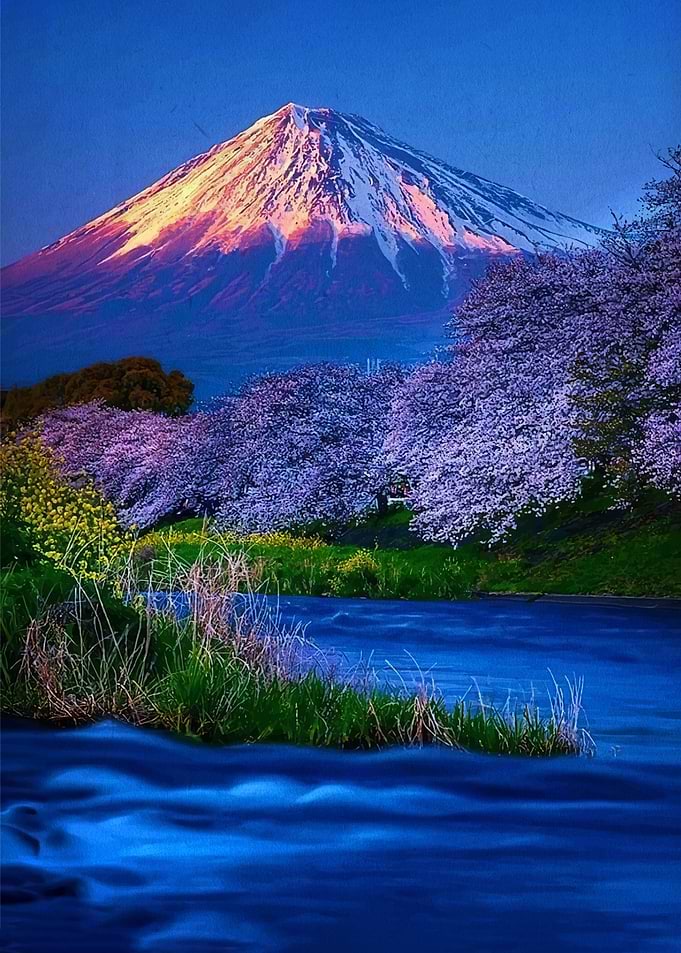 Mount Fuji with Cherry Blossoms and River