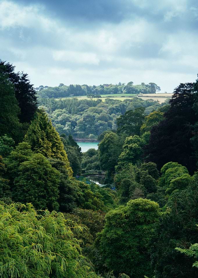 Lush Green Valley with Distant Water