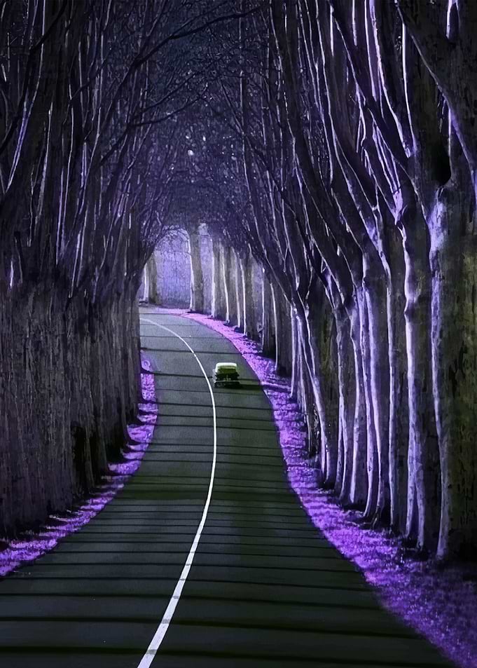 Enchanted Forest Road with Car