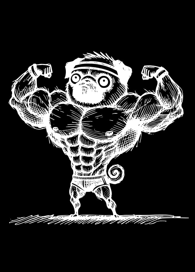 Muscular Pug Flexing Biceps