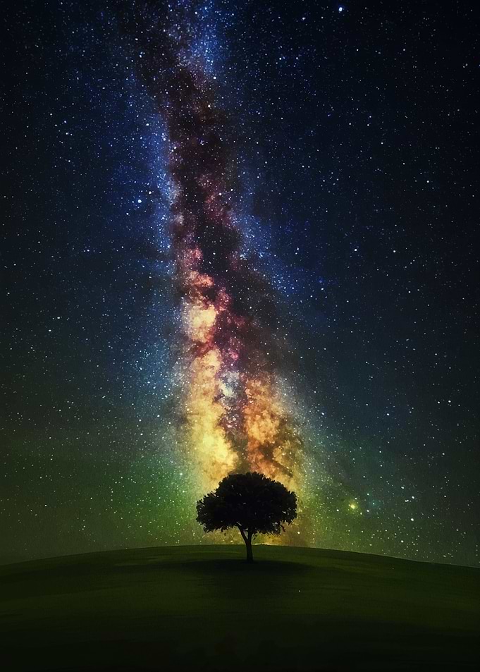 Milky Way over a lone tree