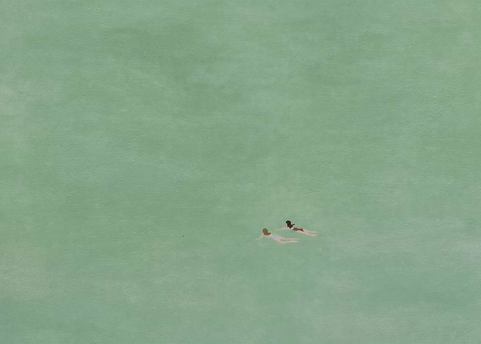 The Swimmers