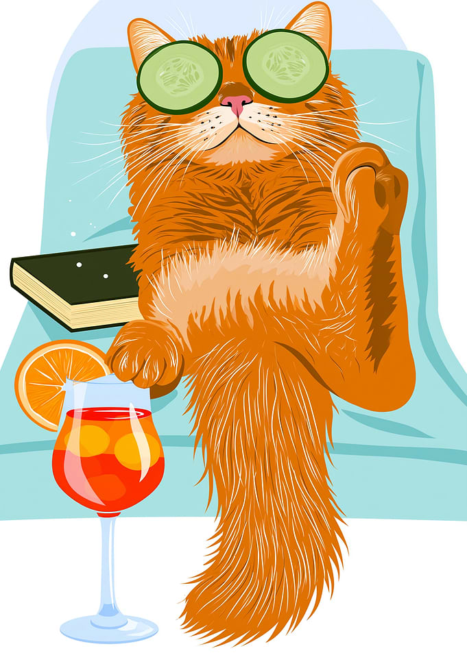 Relaxing Cat with Cucumber Eyes