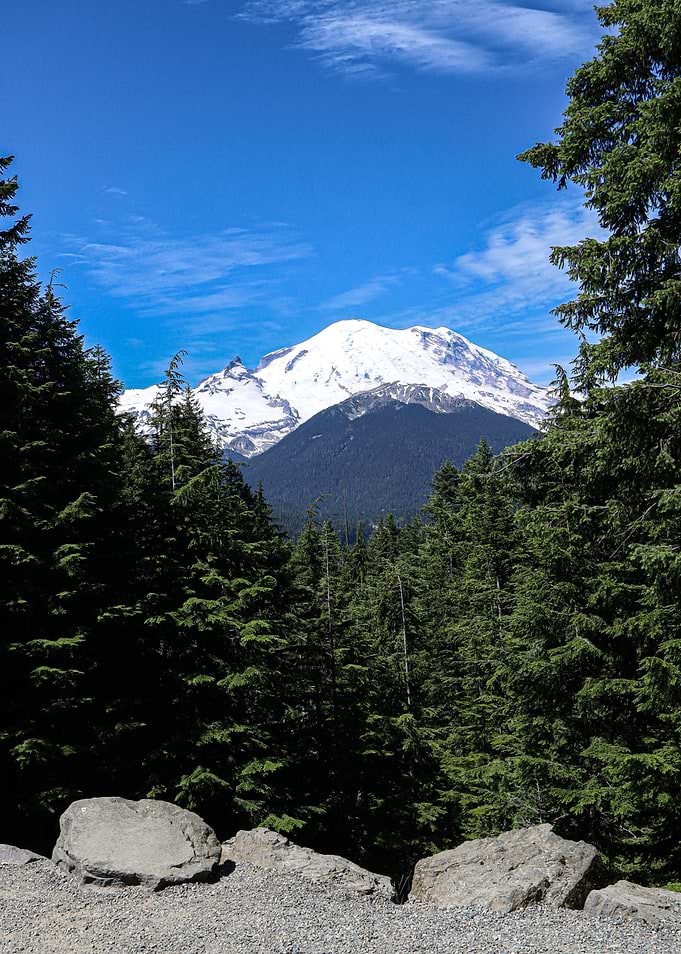 Rainier in the Distance