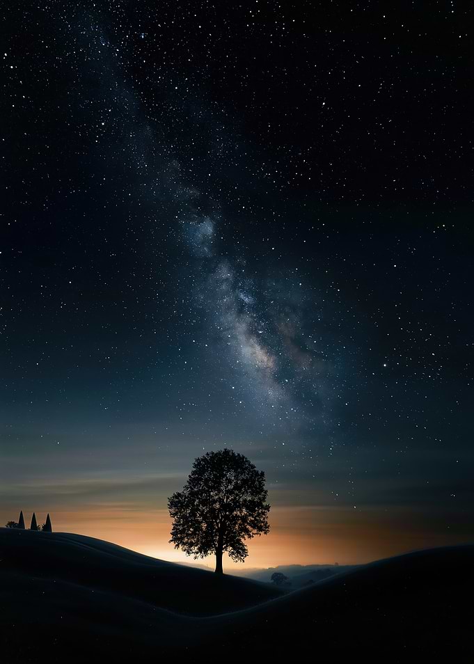Tree Under the Milky Way