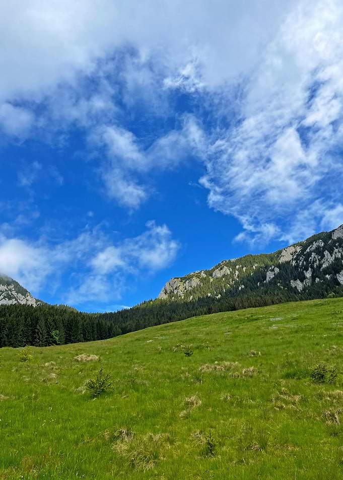 Mountain landscape in Romania