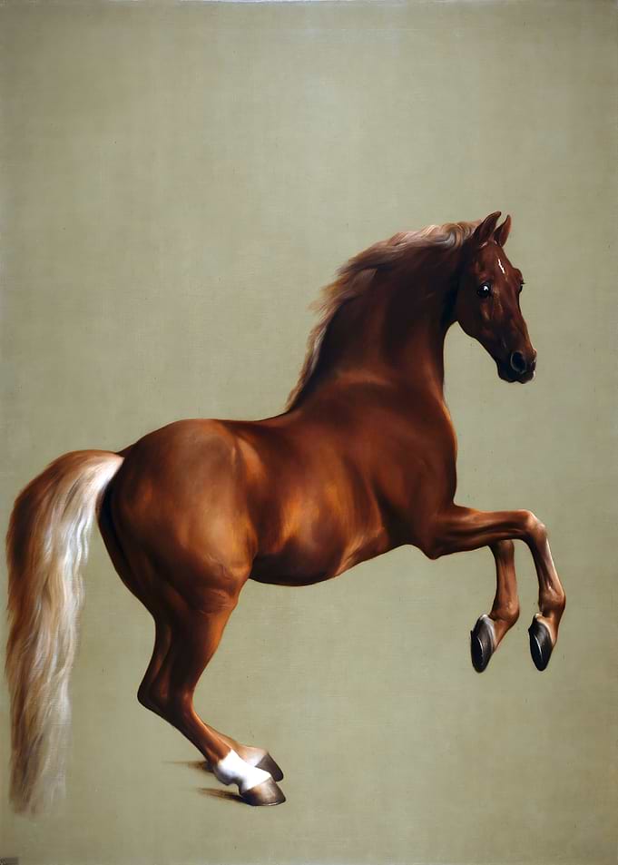 George Stubbs - Whistlejacket