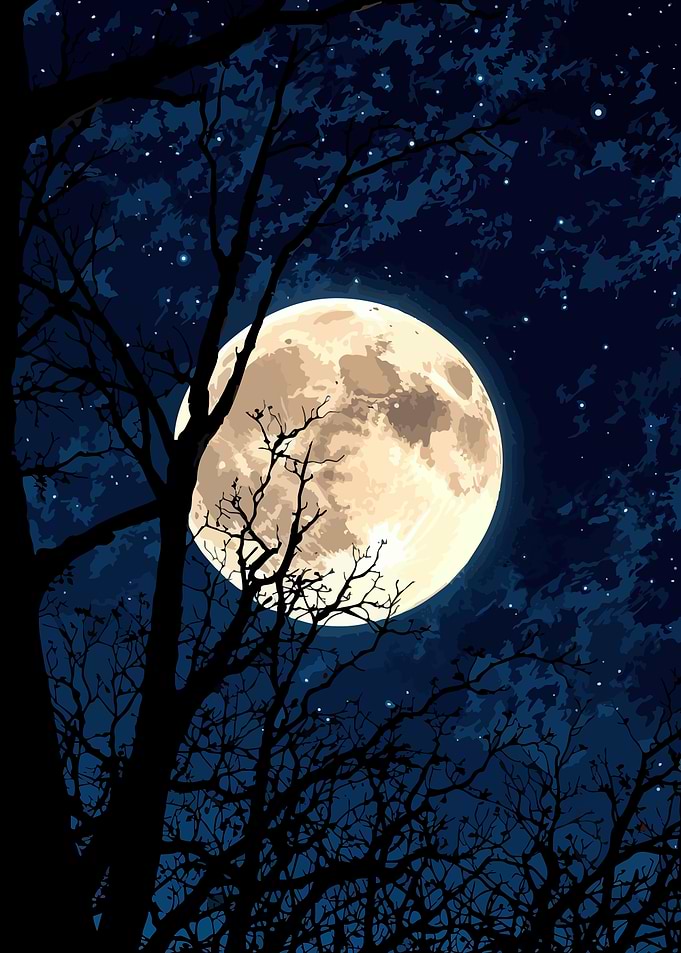 Full Moon Through Silhouetted Trees