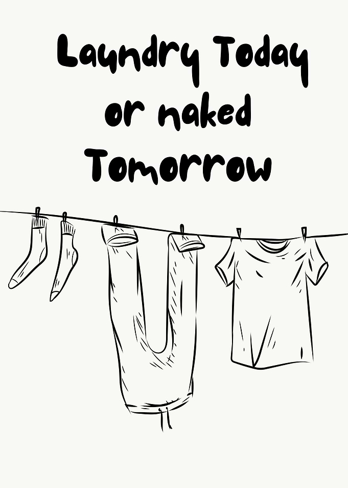 Laundry Today or Naked Tomorrow, Funny Household Quote