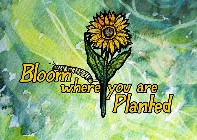 Bloom Where You Are Planted Sunflower and Caterpillar