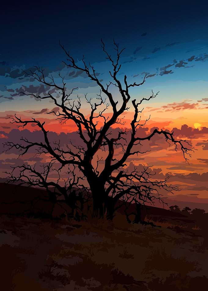 Silhouette of a bare tree at sunset