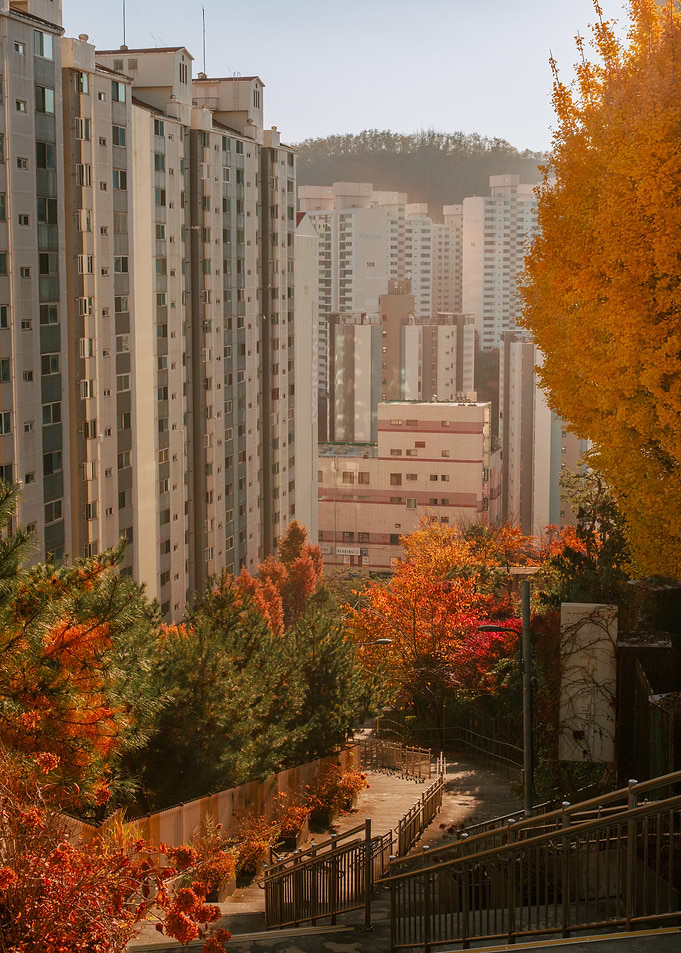 Urban Autumn in Seoul, South Korea