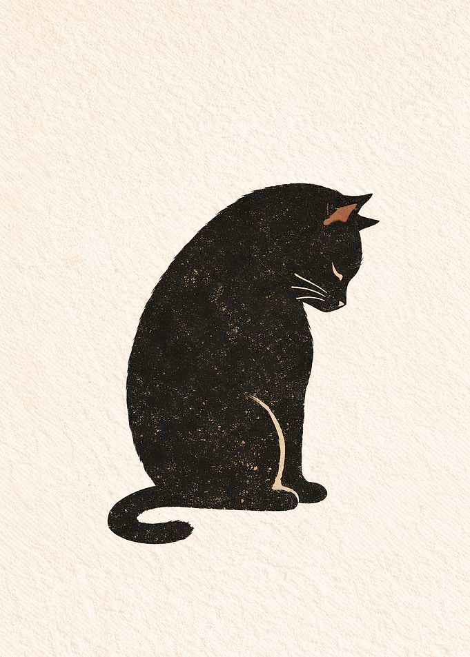 Black Cat Sitting Down