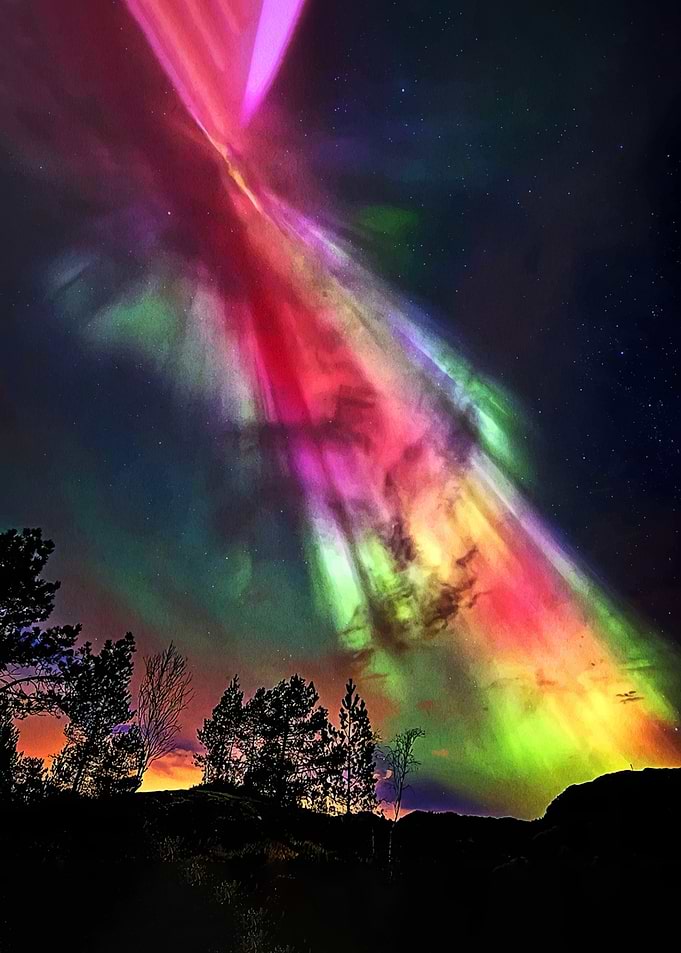 Vibrant Aurora Borealis Over Silhouetted Trees