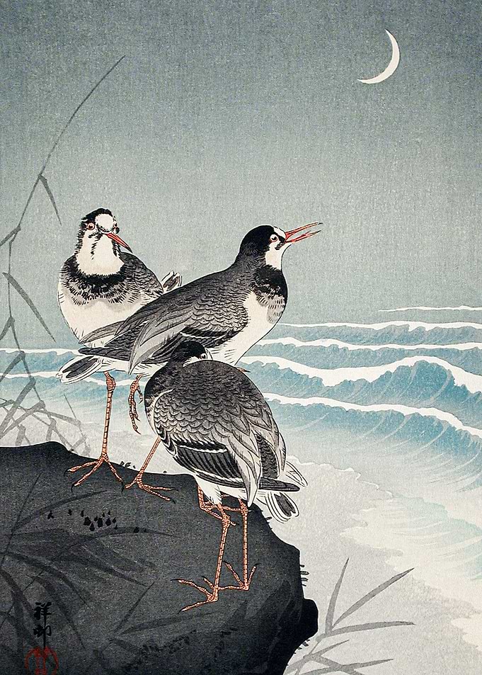 Birds by the Sea Under the Moon