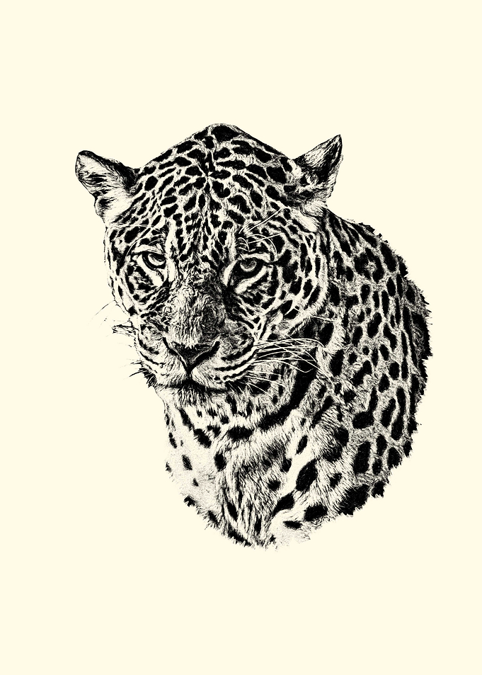 Detailed Jaguar Portrait