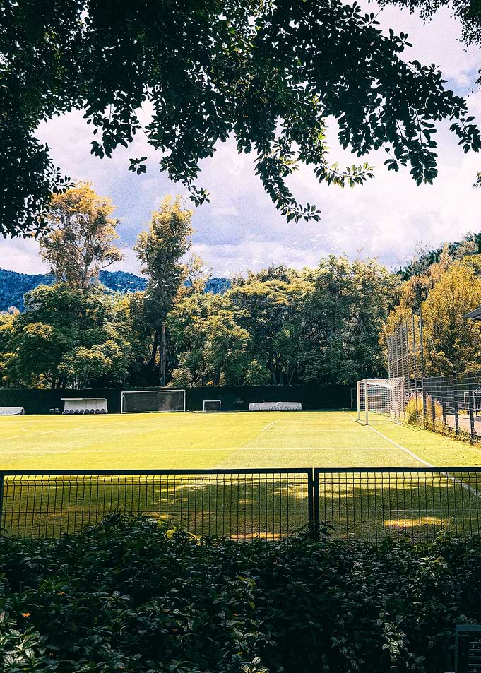 Outdoor Soccer Field with Trees
