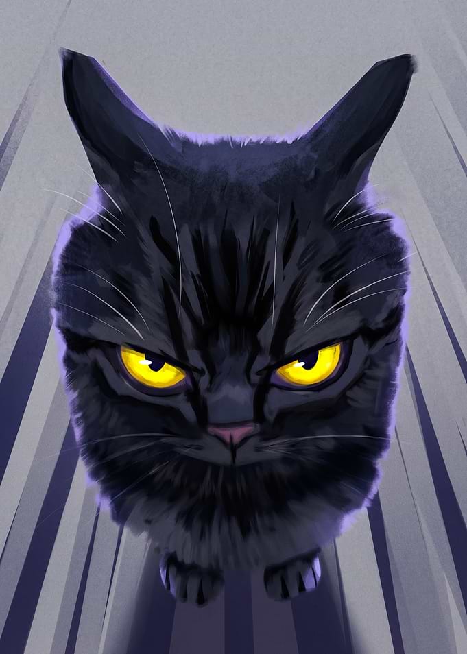 Grumpy Black Cat Glowing Yellow Eyes