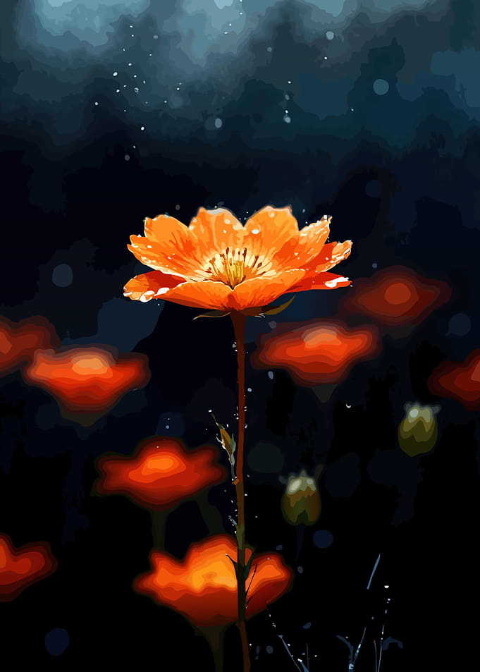 Orange flower with water droplets