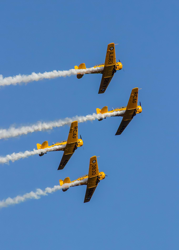 Formation