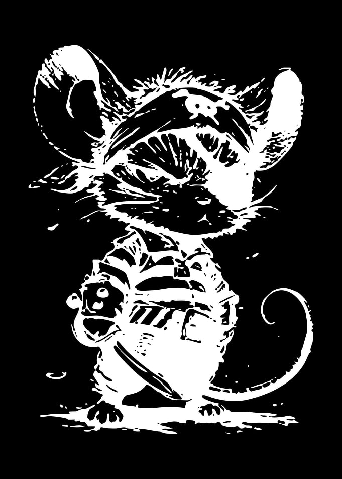 Pirate Mouse with Sword