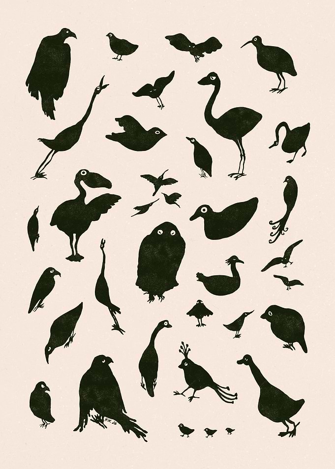 BIRDS