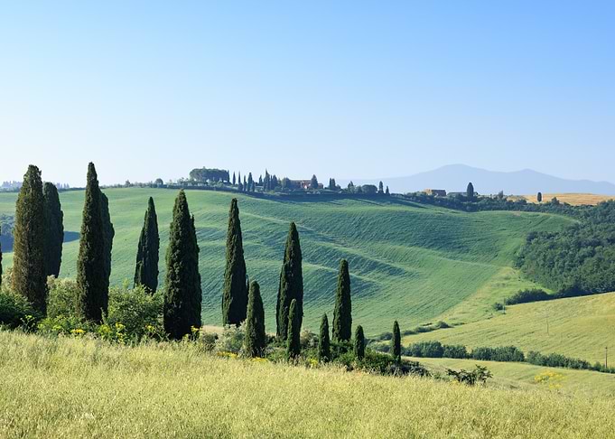 Tuscan Landscape with Cypress Trees