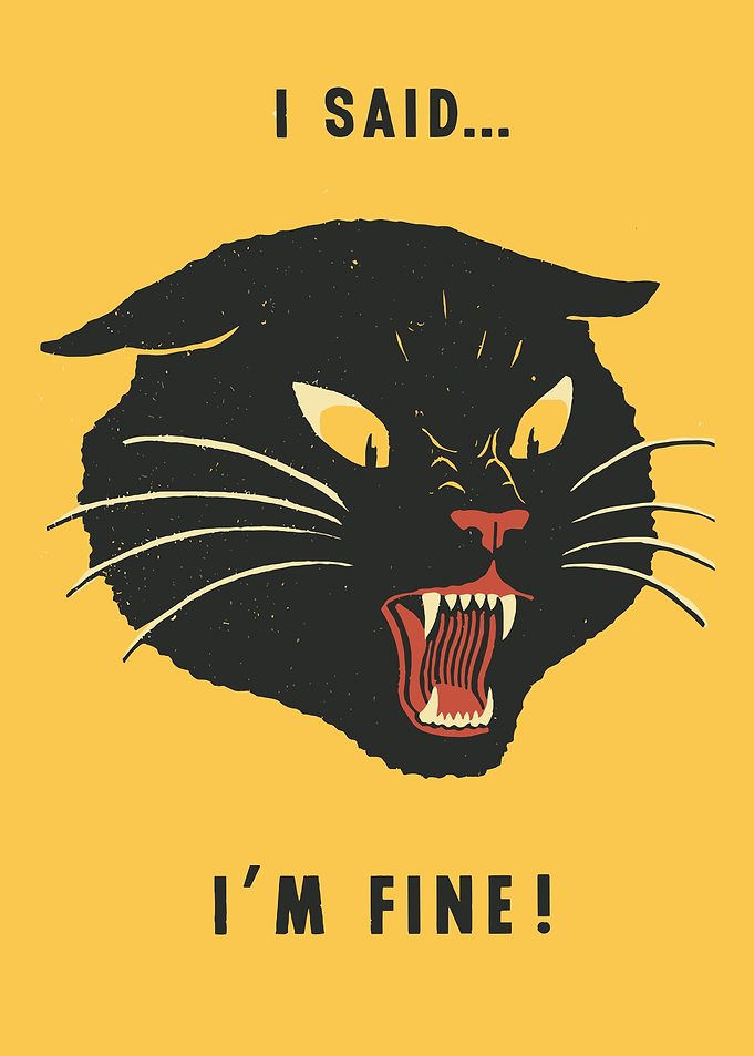 Angry Black Cat 'I Said I'm Fine!'
