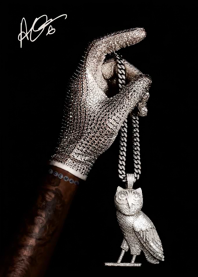Diamond Owl Pendant and Glove