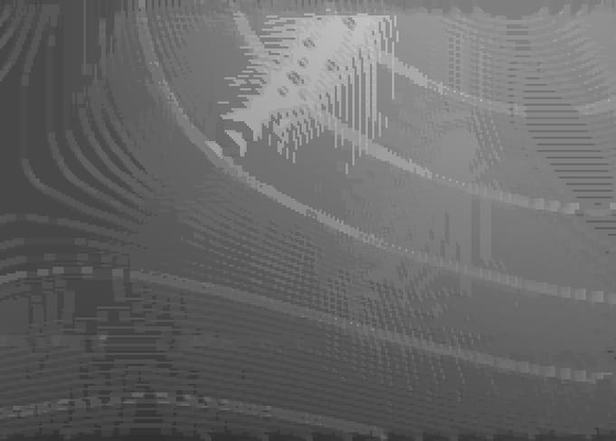 Abstract Grayscale Flowing Fish